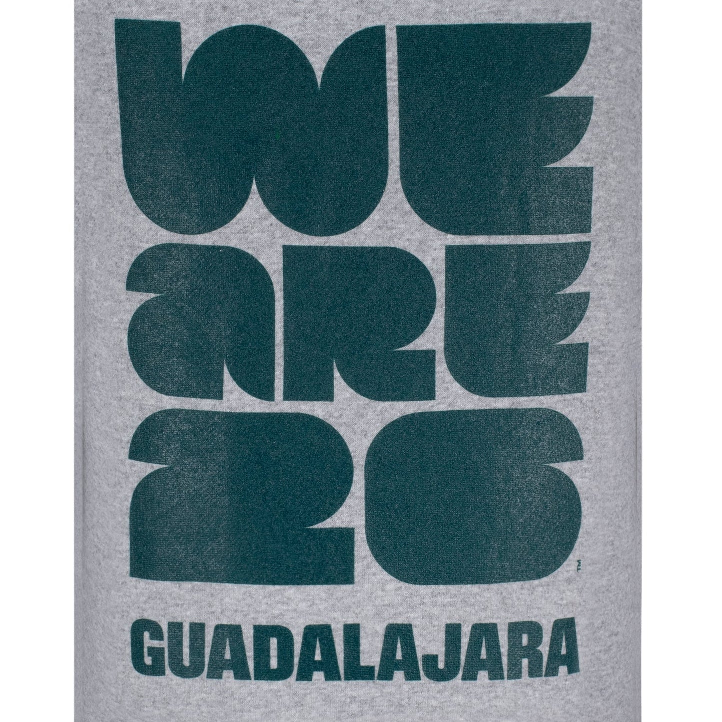 World Cup 2026 Guadalajara Grey Hoodie