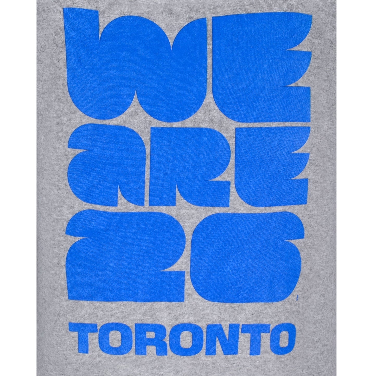 World Cup 2026 Toronto Grey Hoodie