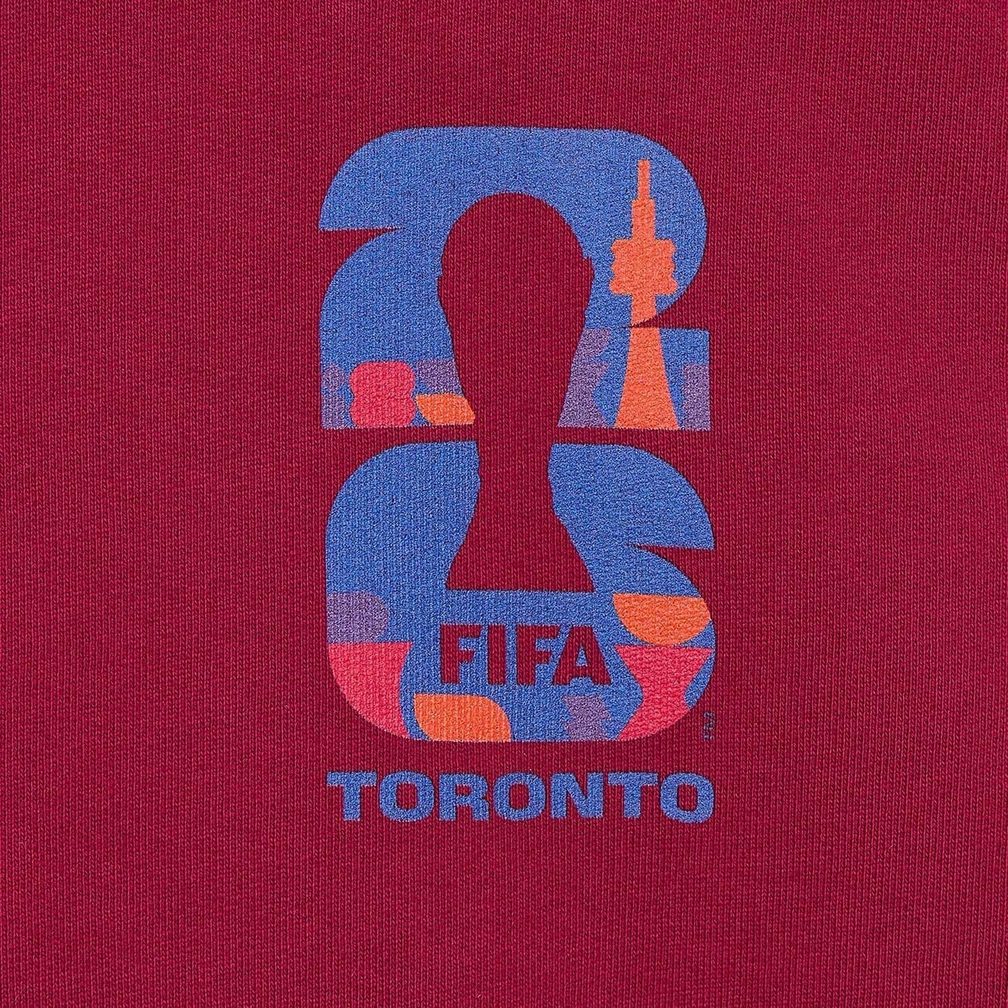World Cup 2026 Toronto Hoodie