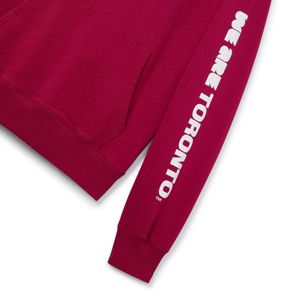 World Cup 2026 Toronto Hoodie